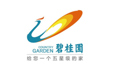 合作伙伴 合作伙伴